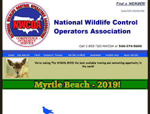 Tablet Screenshot of nwcoa.com